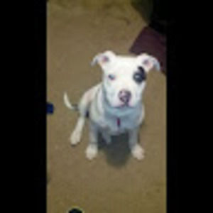 Meet your Posher, Helen